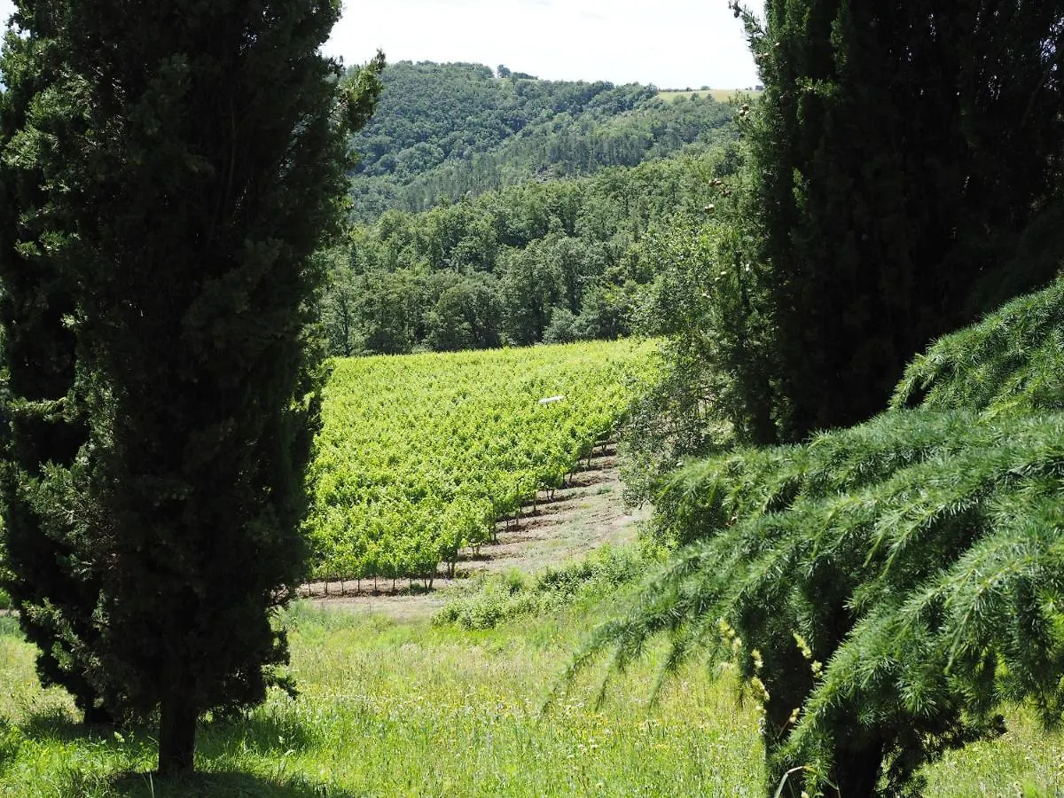 Country house Sassi Bianchi Guest House Sensano